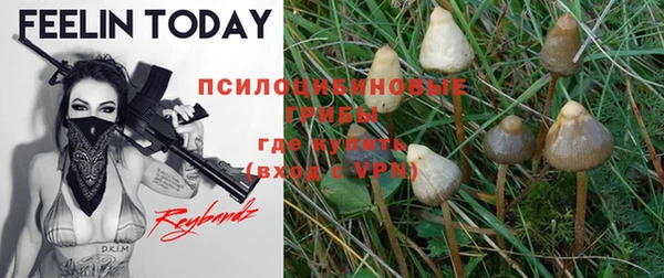 кристаллы Магадан