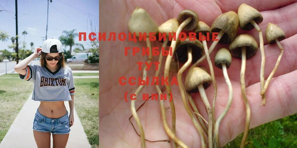 дурь Магас
