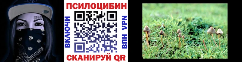 Галлюциногенные грибы Psilocybine cubensis  мега   Вышний Волочёк 