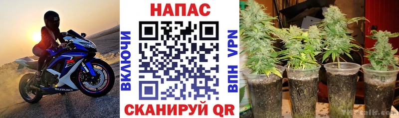 Бошки Шишки VHQ  Вышний Волочёк 
